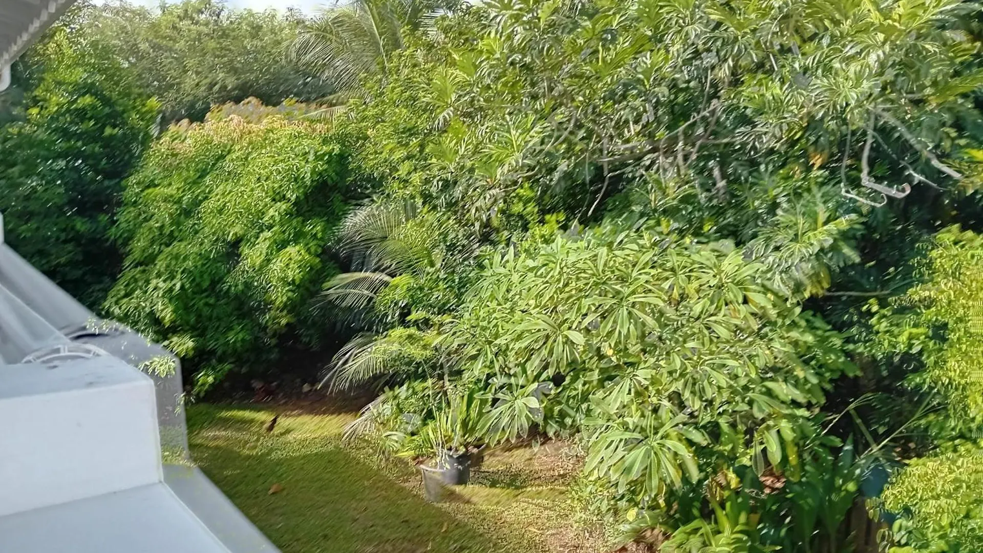 Sikdoje Paradise Le Moule 0*,  Guadeloupe